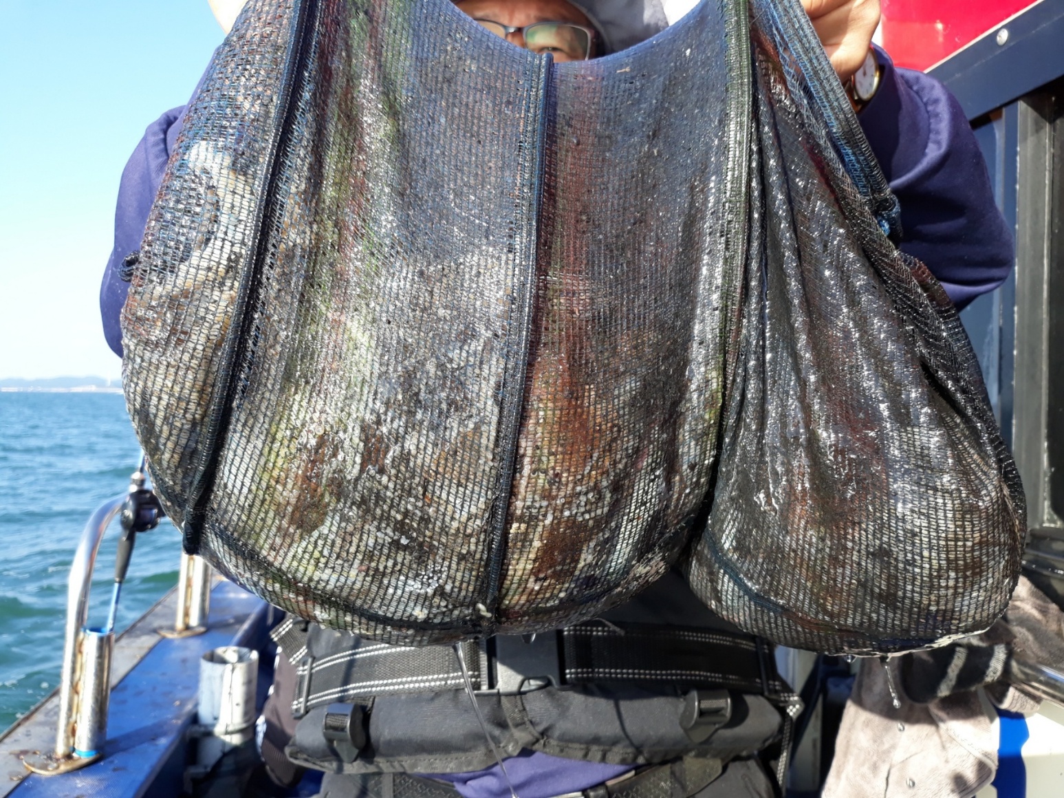 10월 2일 진영호 쭈꾸미 대박조황