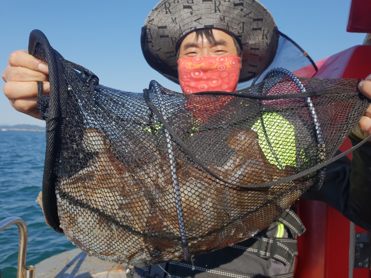 10월3일 뉴대성호 주꾸미조황