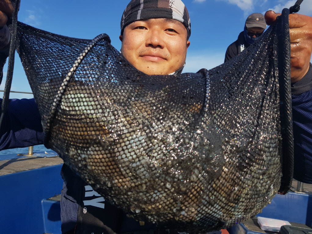 10월4일 대성호 주꾸미조황