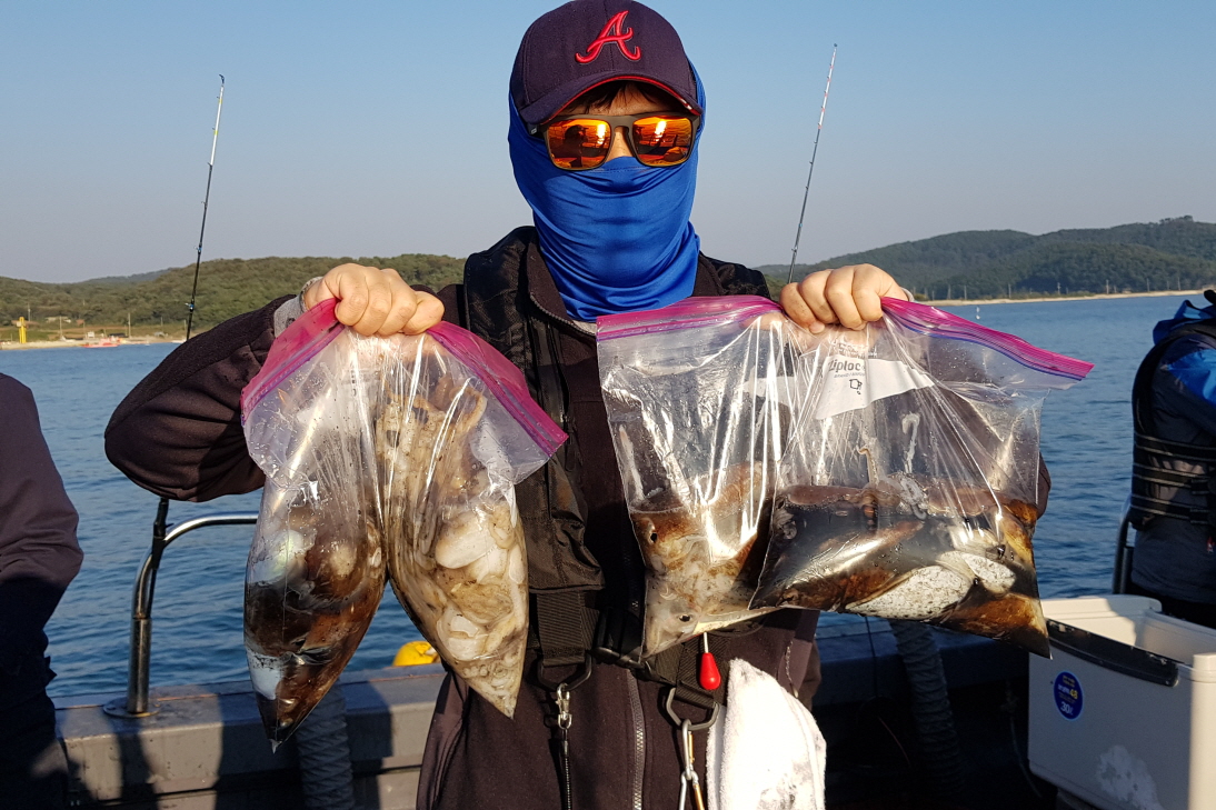 10월13일 대성1호 쭈구미 조황