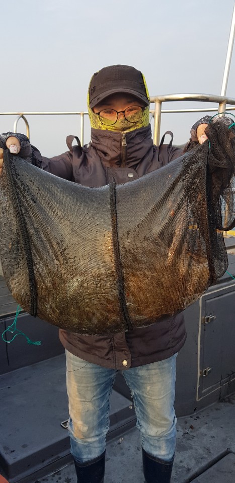 10월 16일 대성2호 주꾸미조황