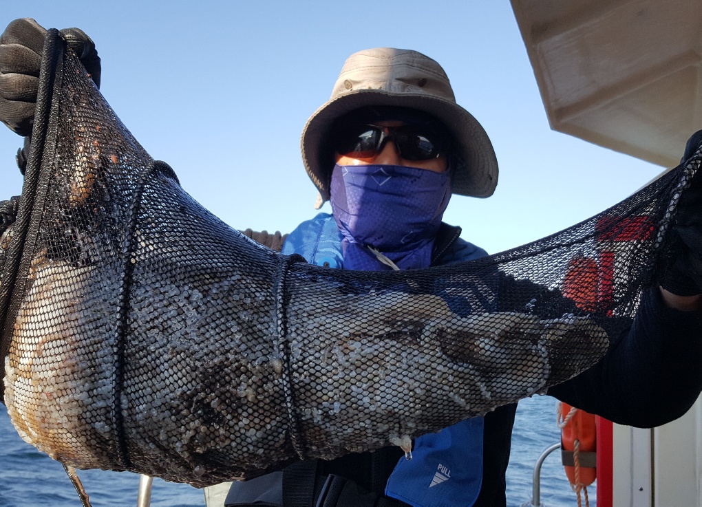 10월19일 해성호 쭈꾸미조황