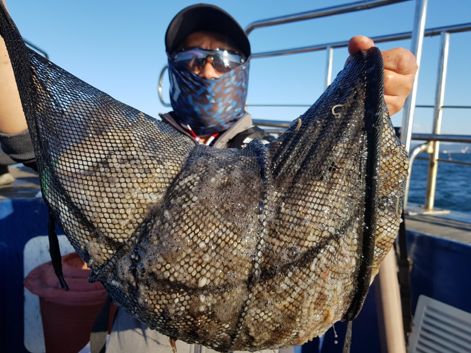 10월17일 대성호 주꾸미조황