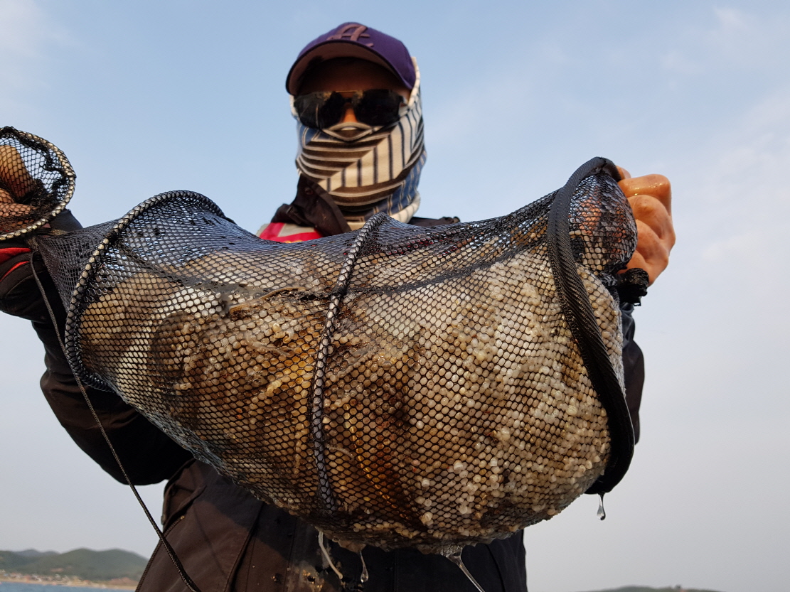 10월16일 대성호 주꾸미조황