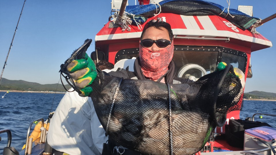 10월19일 뉴해랑호 쭈꾸미 조황