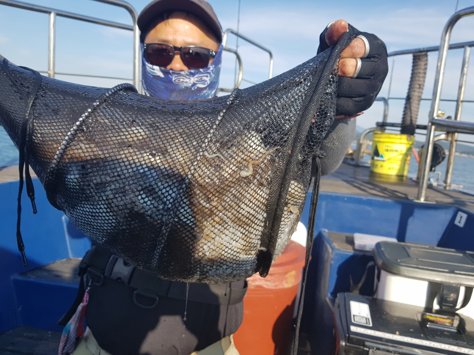 10월5일 대성호 쭈꾸미조황