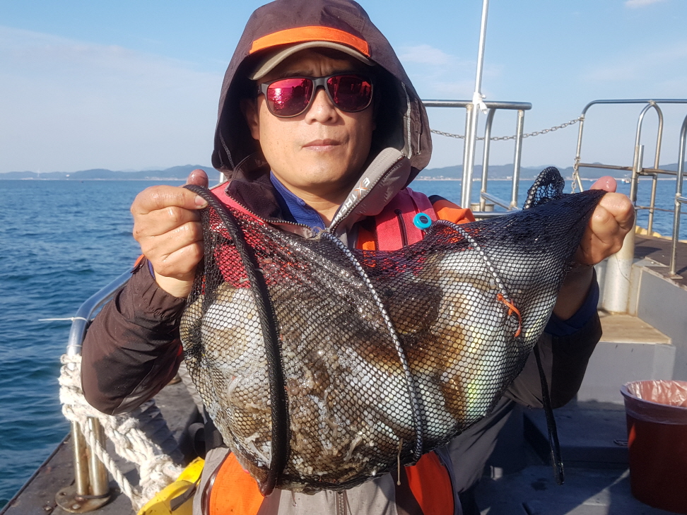 10월4일 대성1호 쭈구미 조황