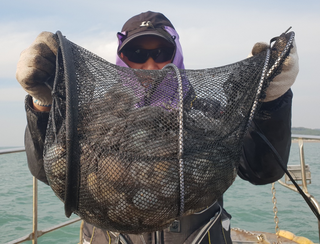 10월14일 뉴대성호 주꾸미조황