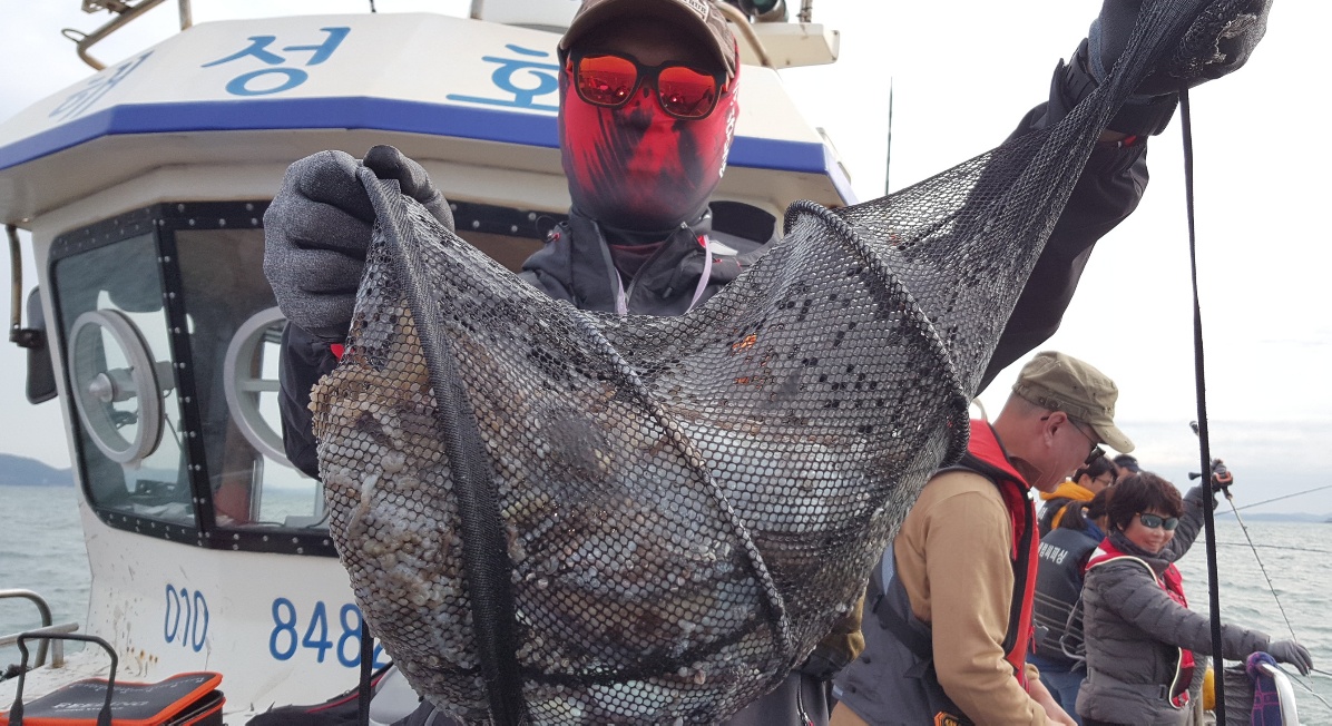 10월9일 해성호 쭈꾸미조황