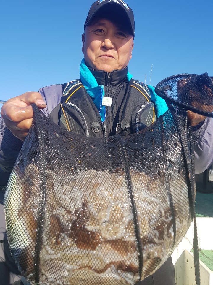 10월19일 뉴궁리호 주꾸미조황