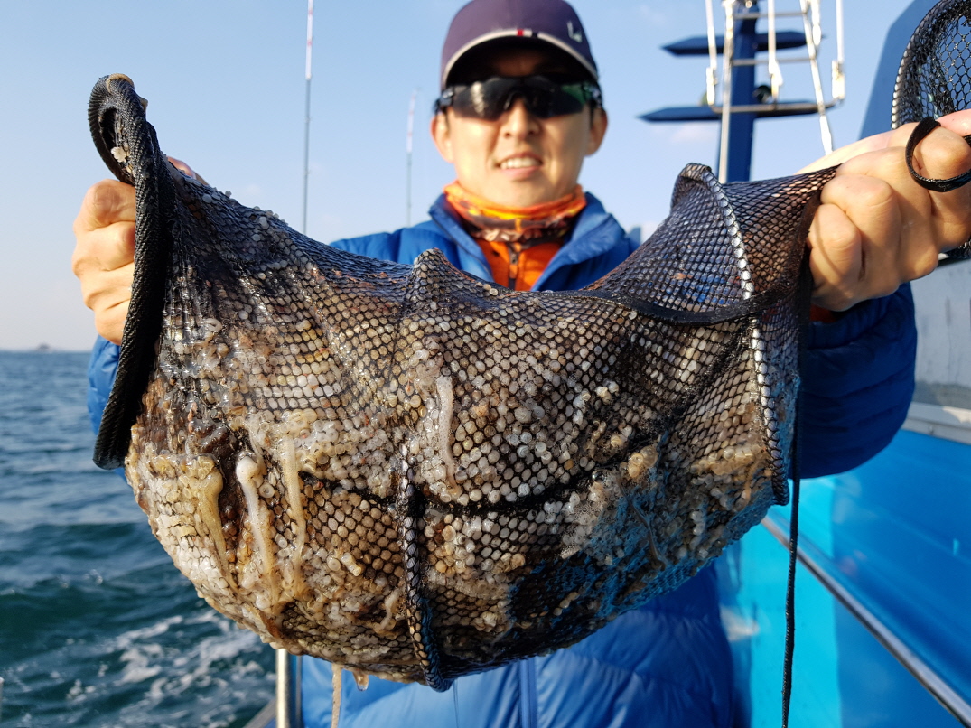 10월18일 대성호 주꾸미조황