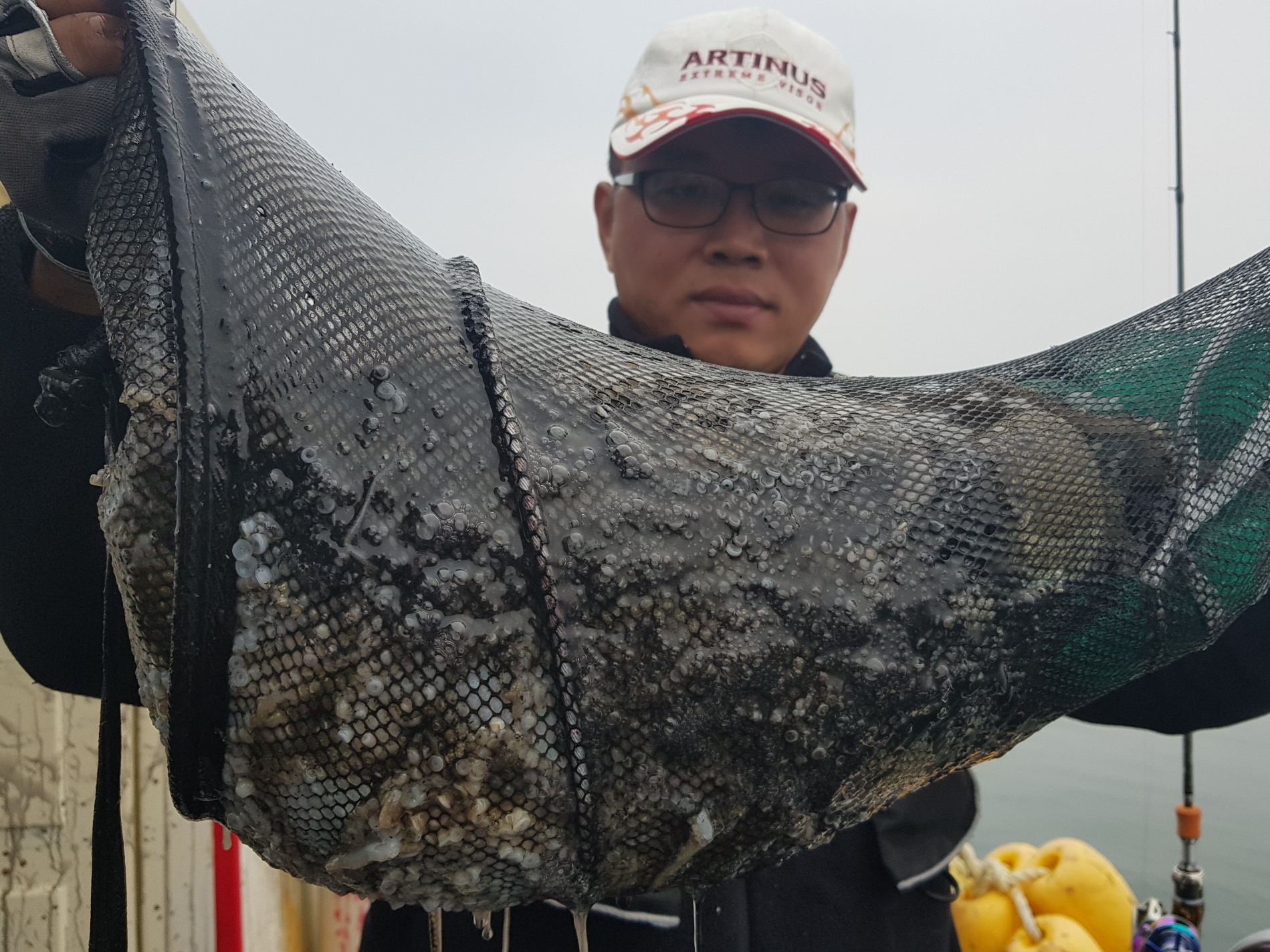 11월7일 해성호 쭈꾸미조황