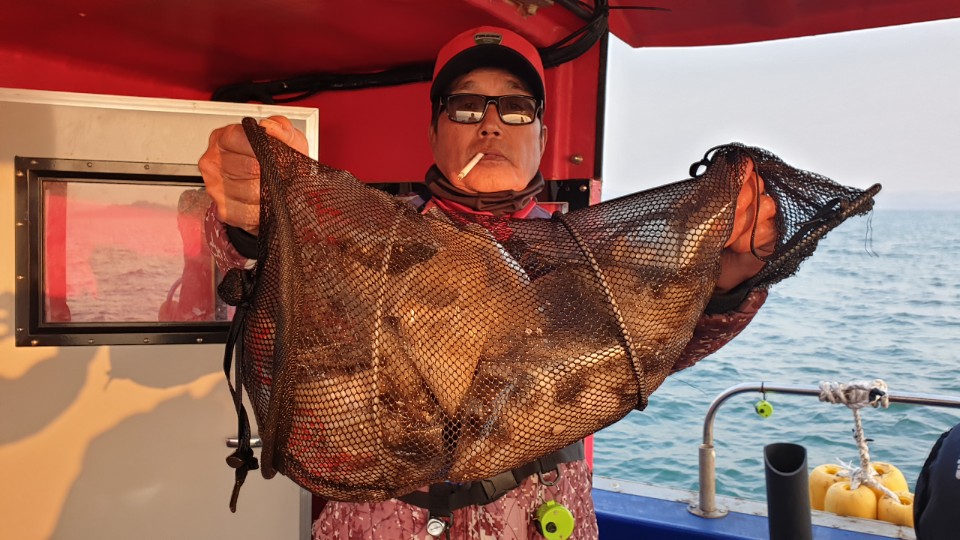 11월14일 뉴해랑호 쭈꾸미 조황