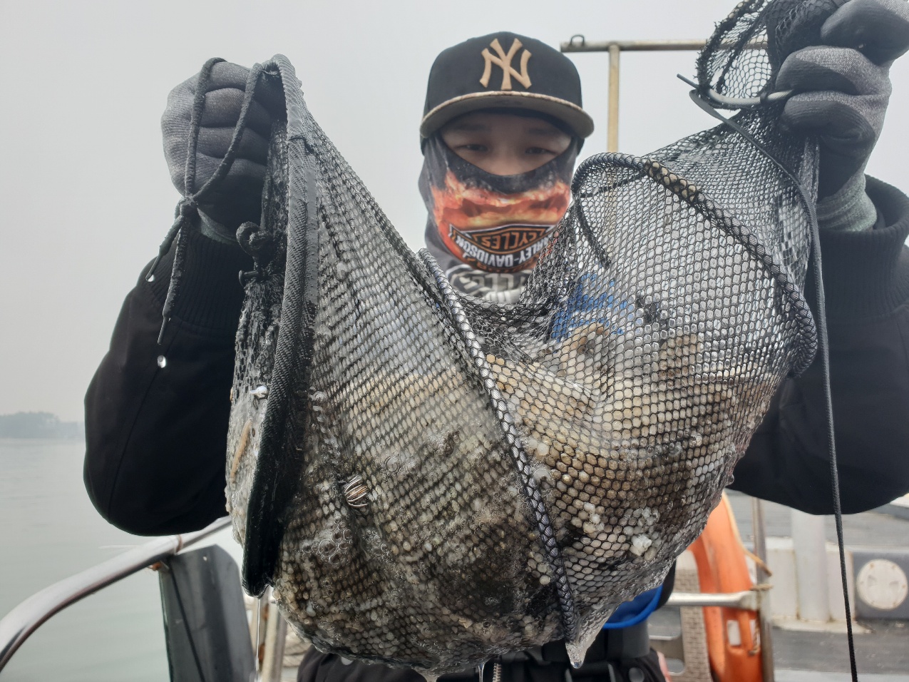 11월7일 뉴대성호 주꾸미조황