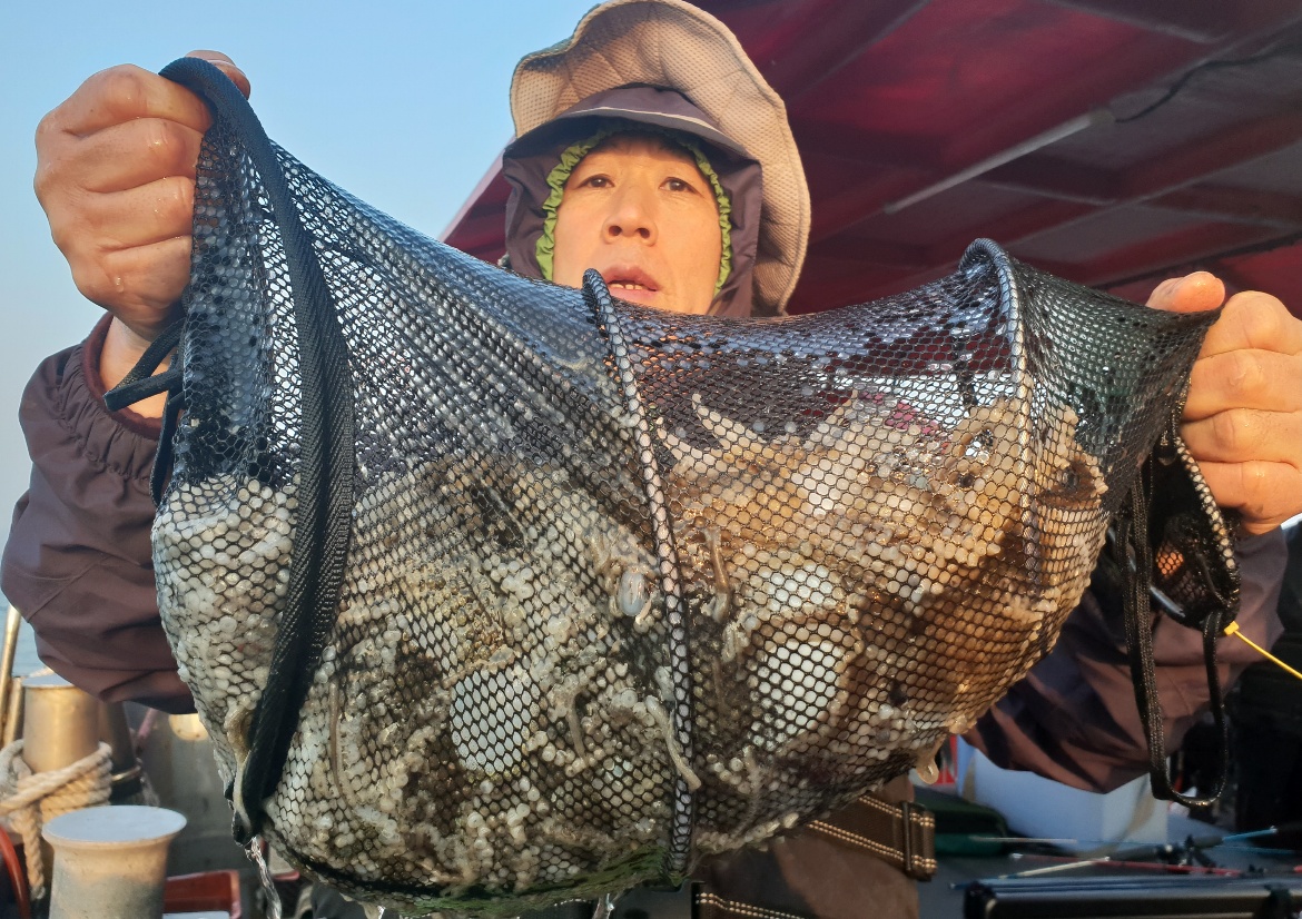 11월14일 뉴대성호 주꾸미 심폐소생술 중~