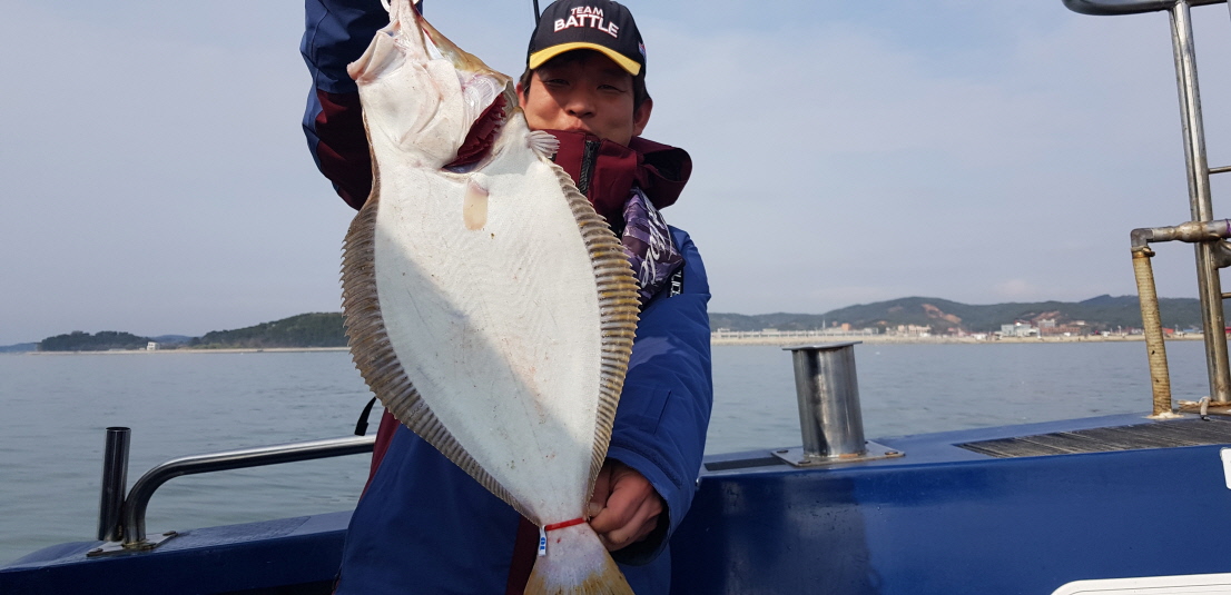 4월21일 대성호 먼바다 우럭,광어조황