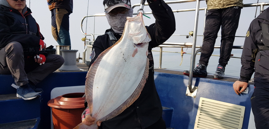 5월4일 대성호 광어다운샷조황