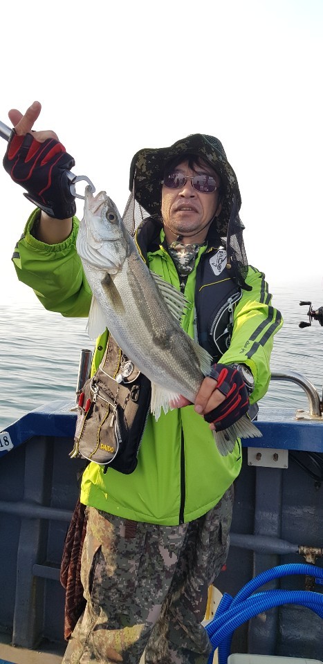 5월 17,19일 대성호 다운샷 + 외수질조황