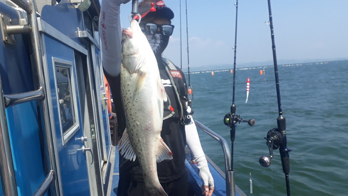 6월15일 대성호 외수질조황