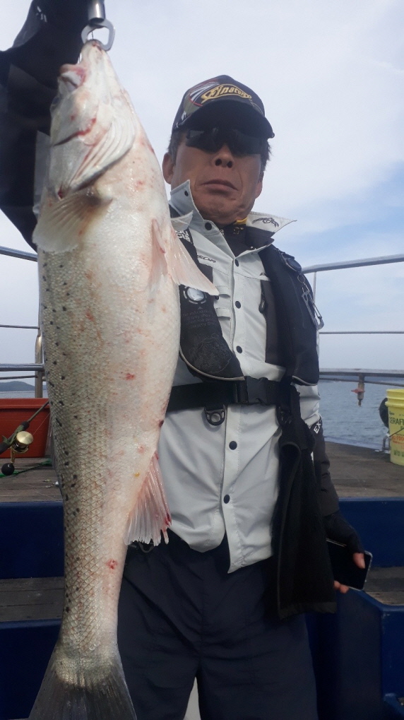 6월16일 대성호 농어외수질조황