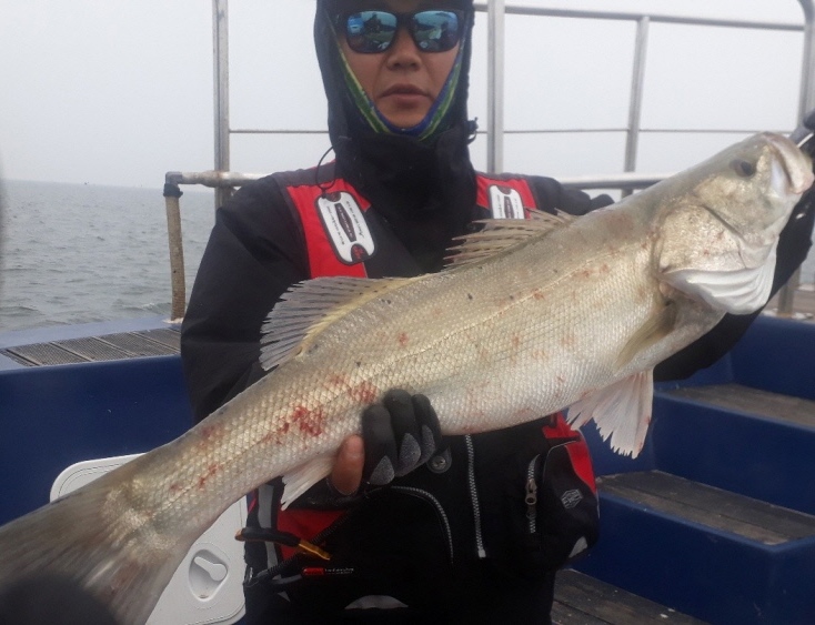 대성호 6월12,13,14일 외수질 조황입니다.