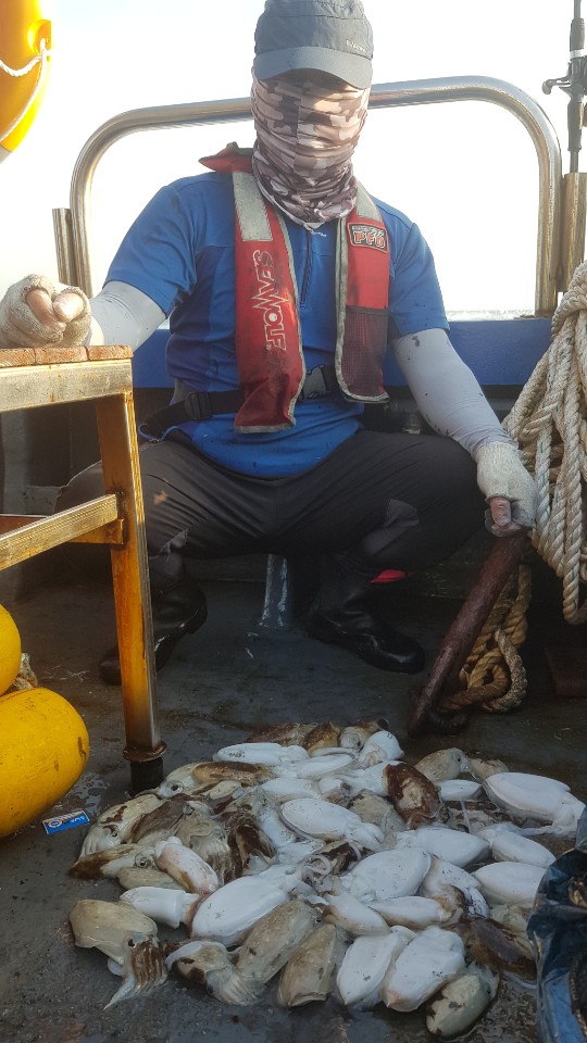 9월 16일 거정호 갑오징어 조황