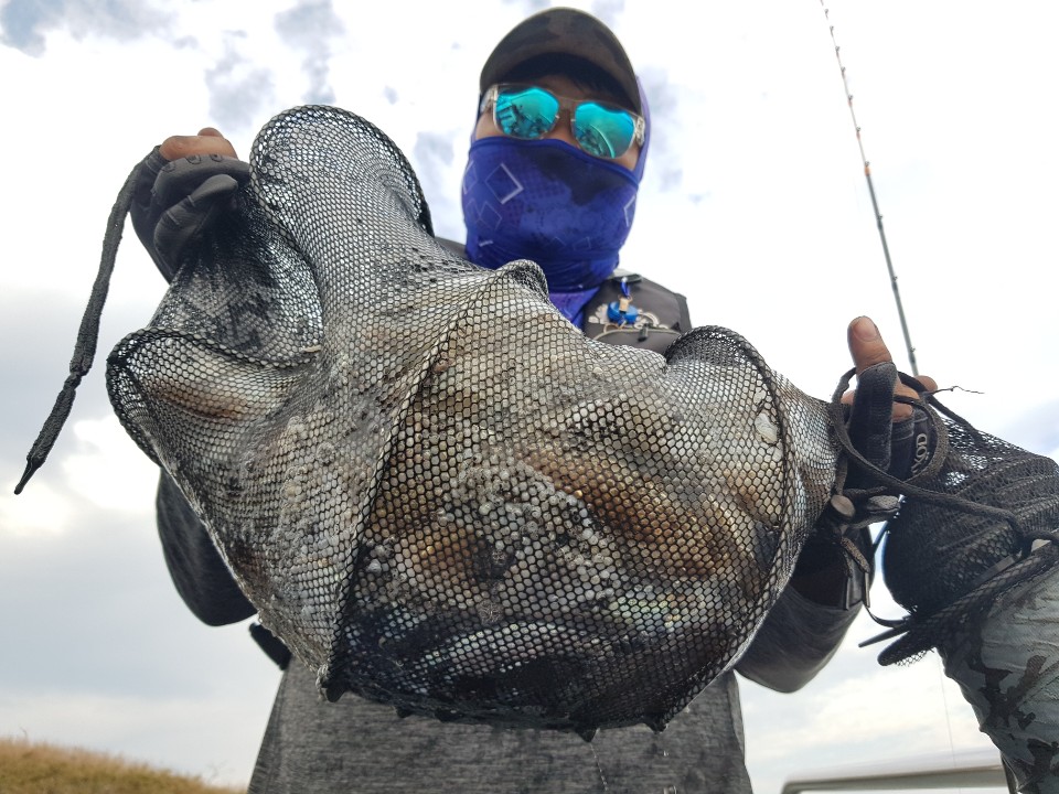 9월27일 거정호 갑오징어조황