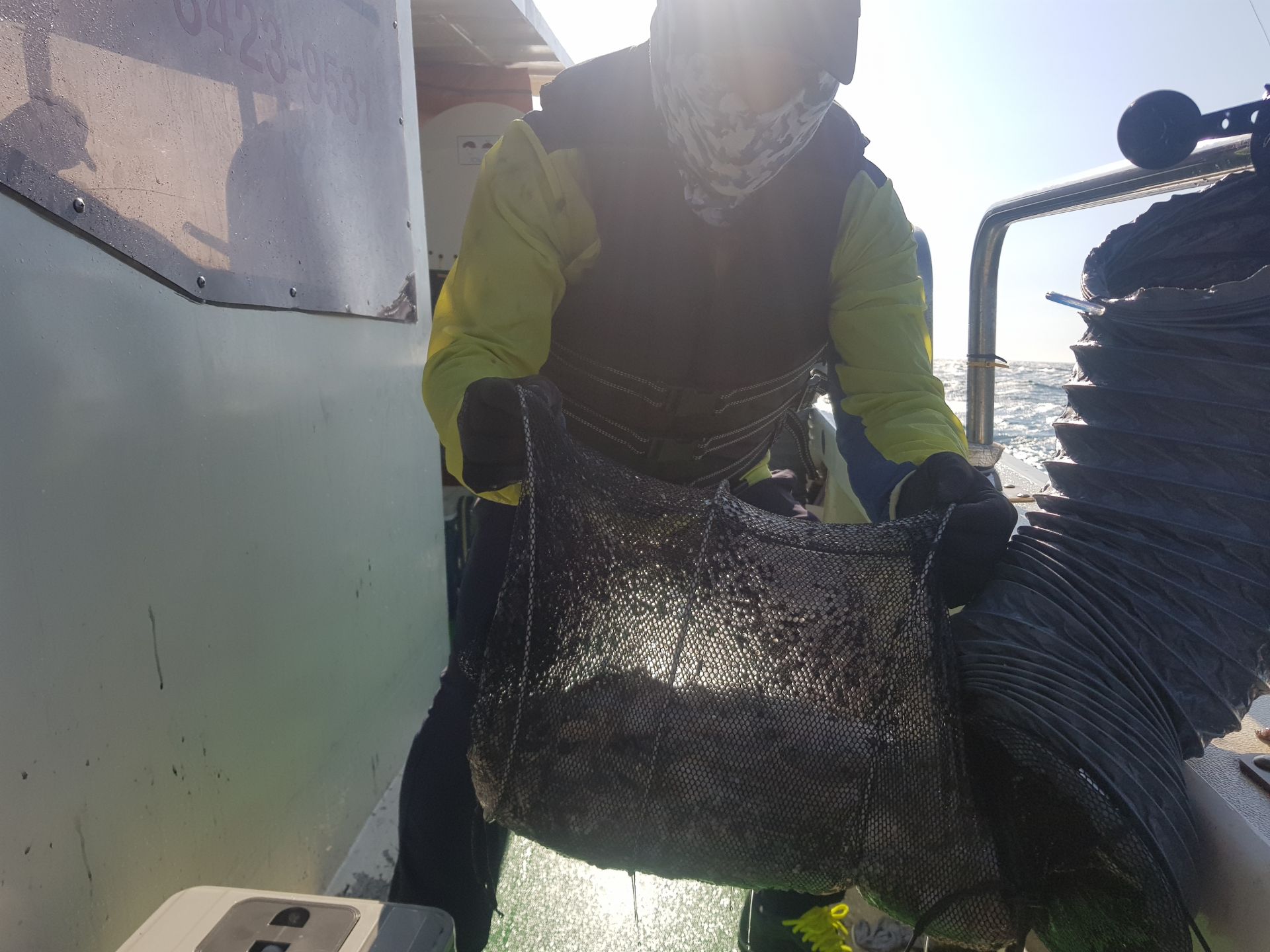 9월16일 주꾸미 뉴궁리호 조황