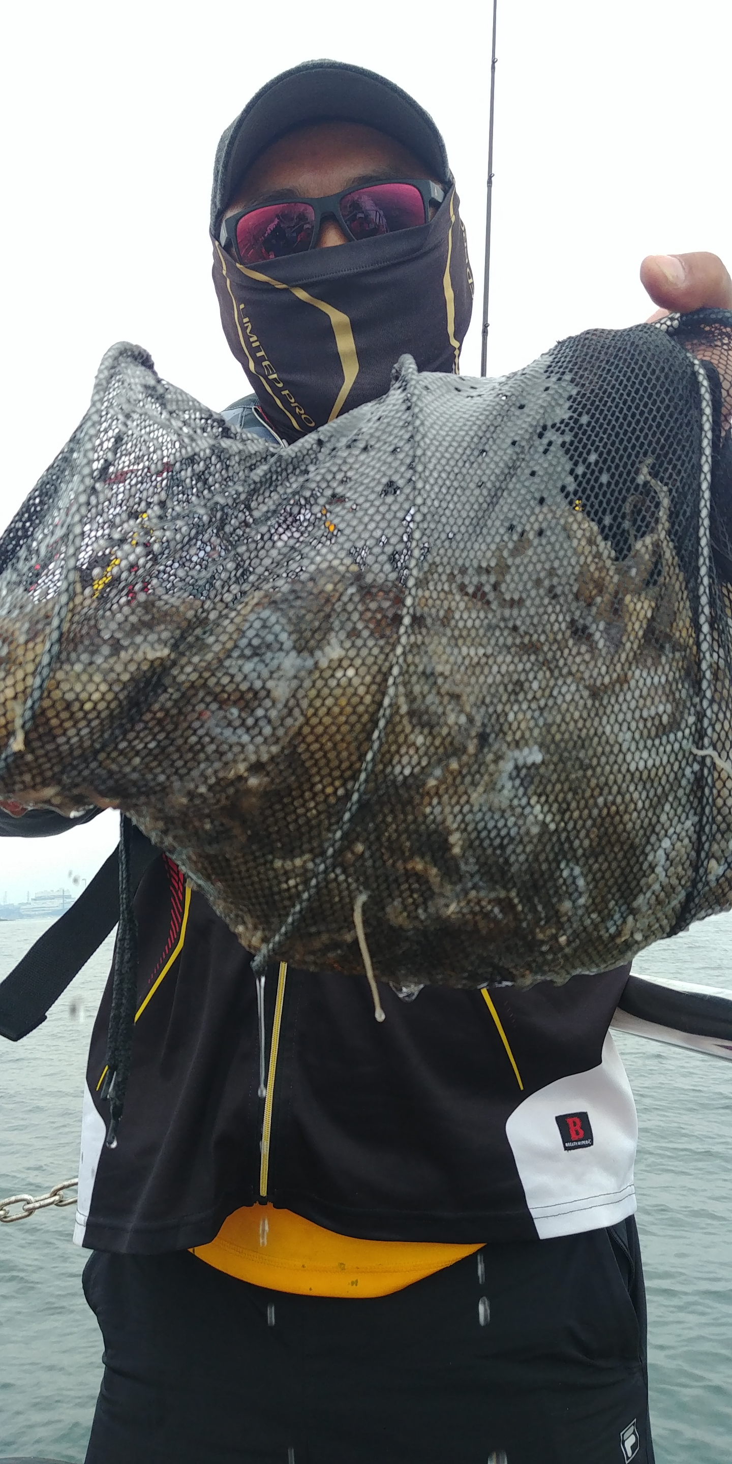 9월26일 천성호 쭈꾸미조황