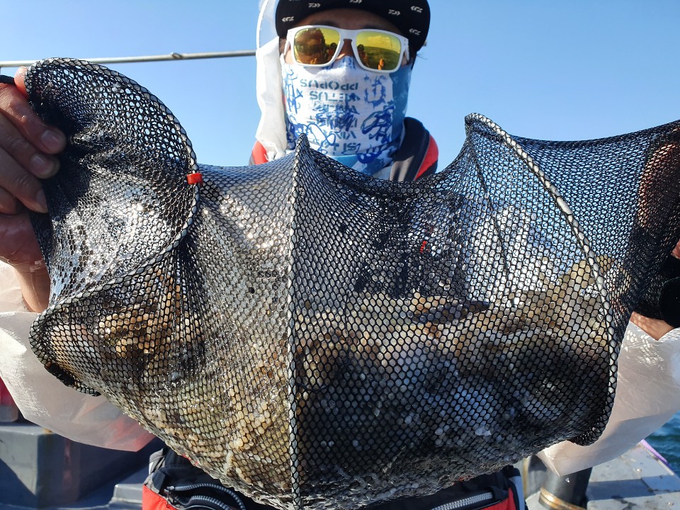 9월16일 뉴대성호 주꾸미조황