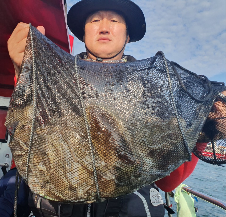 9월27일 뉴대성호 주꾸미조황