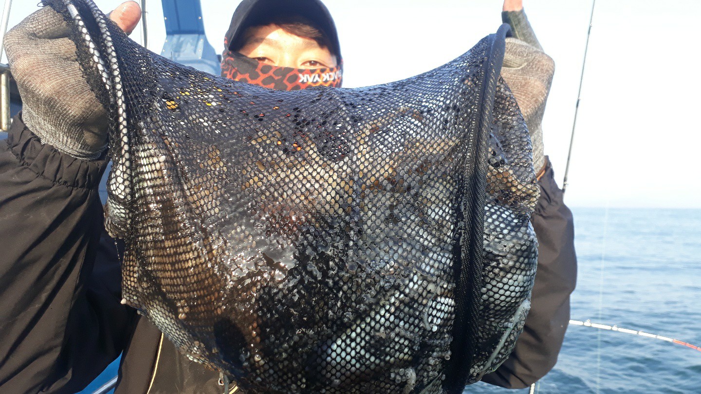 10월15일 대성호 쭈꾸미조황