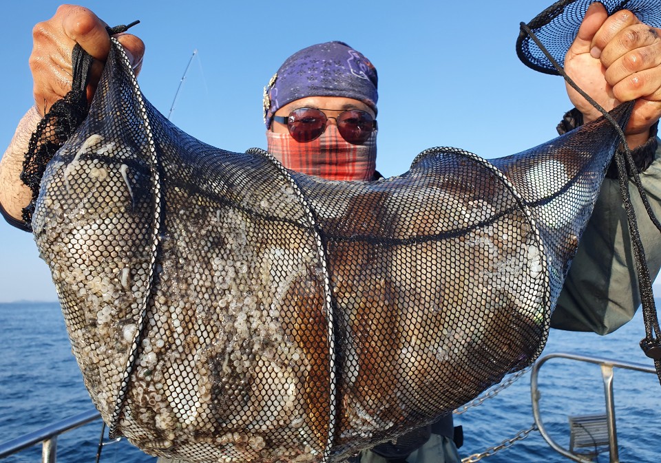 10월13일 뉴대성호 주꾸미조황