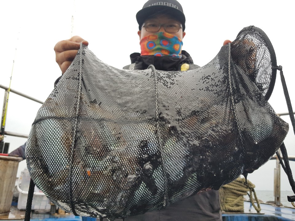 10월23일 거정호 갑오징어조황