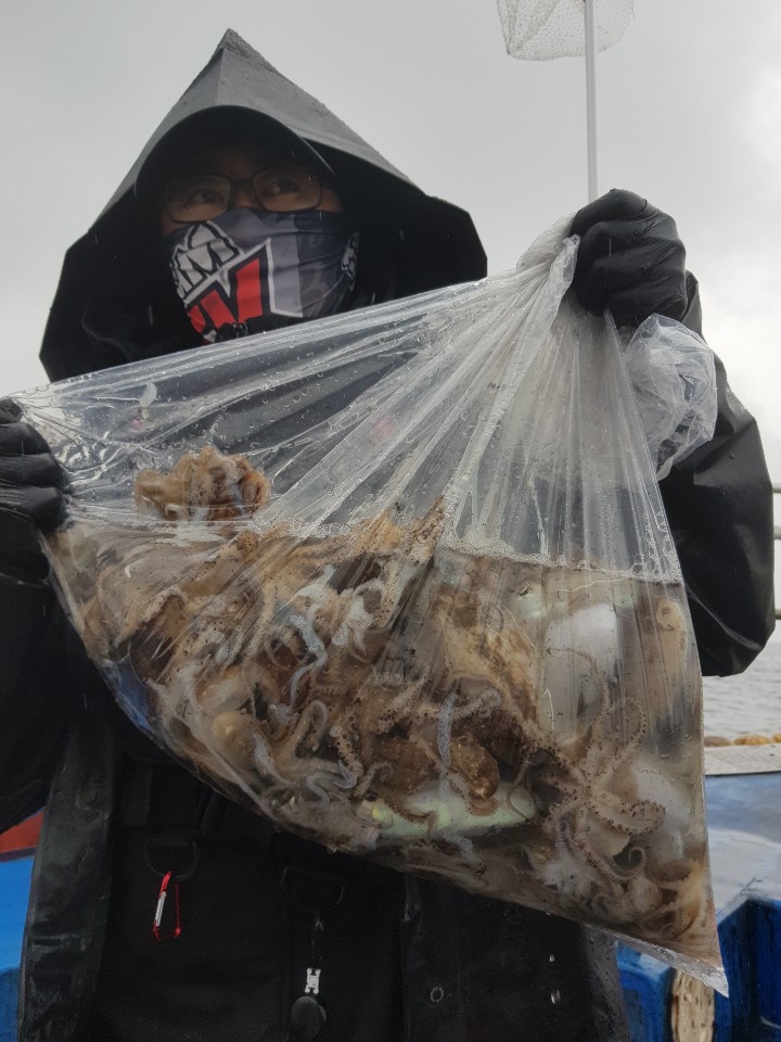 10월7일 거정호 갑오징어조황