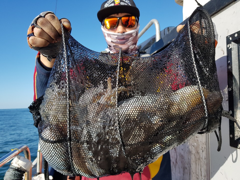 10월30일 거정호 갑오징어조황