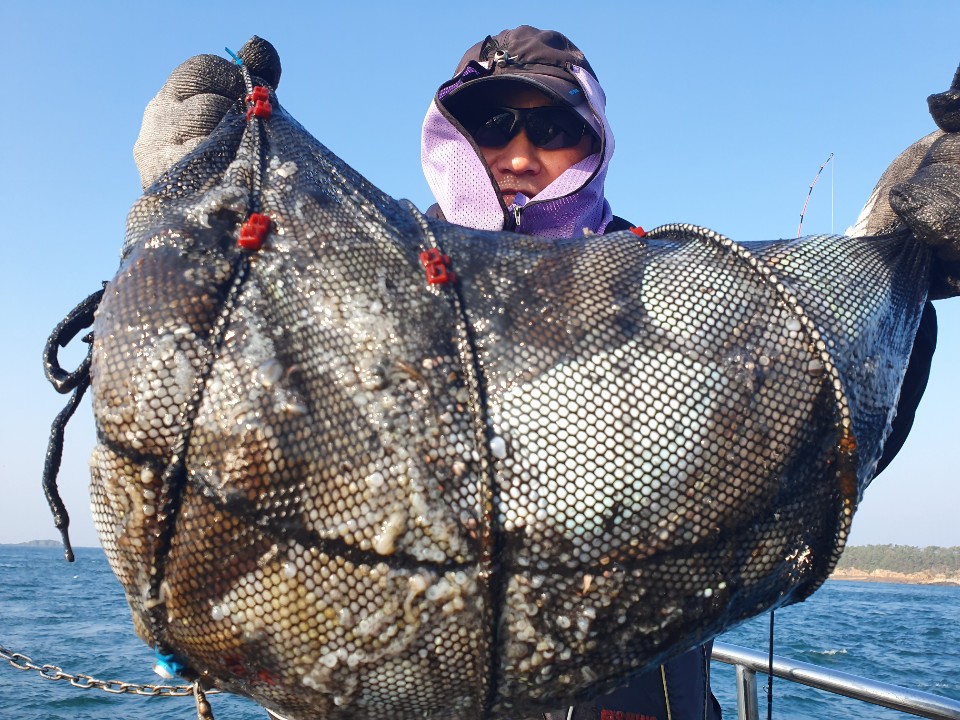 10월20일 뉴대성호 주꾸미조황