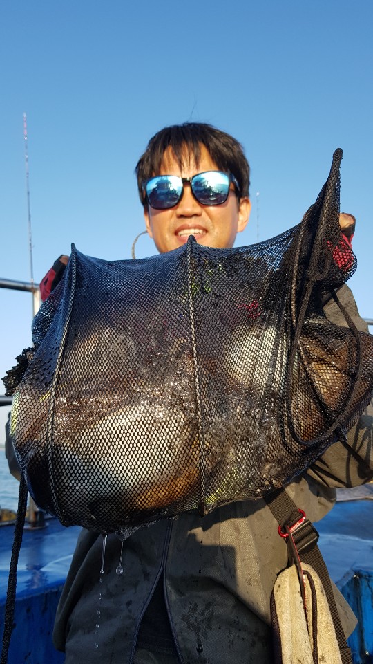 10월 13일 거정호 갑오징어조황