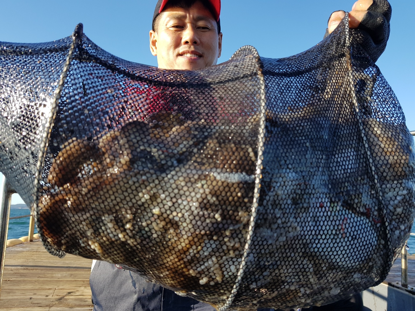 10월8일 용진호 주꾸미조황