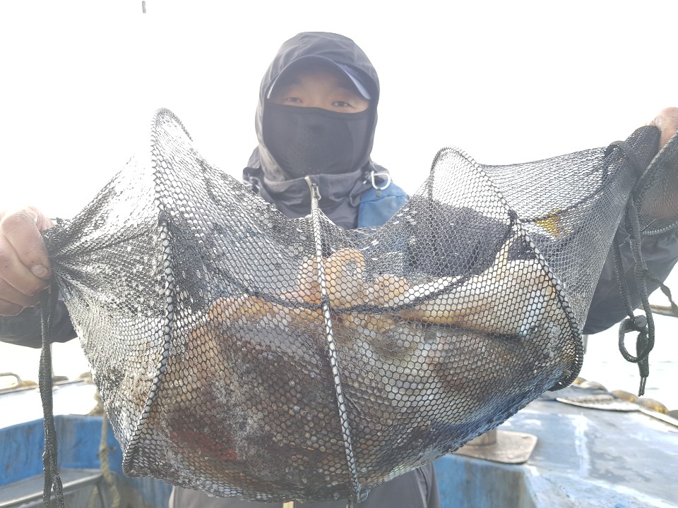 10월26일 거정호 갑오징어조황