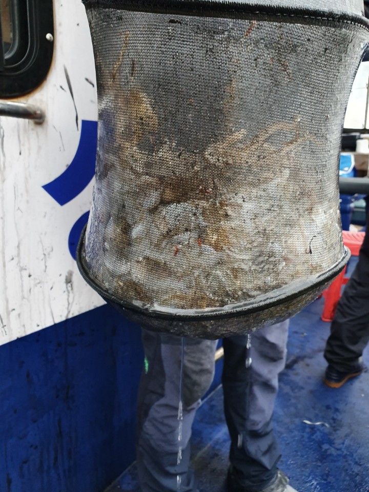 10월6일 대양호 쭈꾸미조황