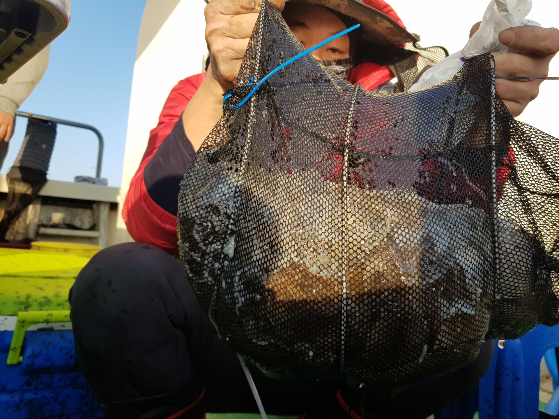 10월12일 뉴궁리호 주꾸미조황