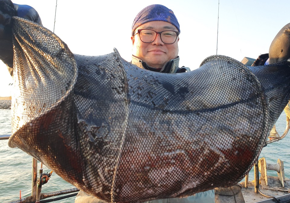 10월27일 뉴대성호 주꾸미조황