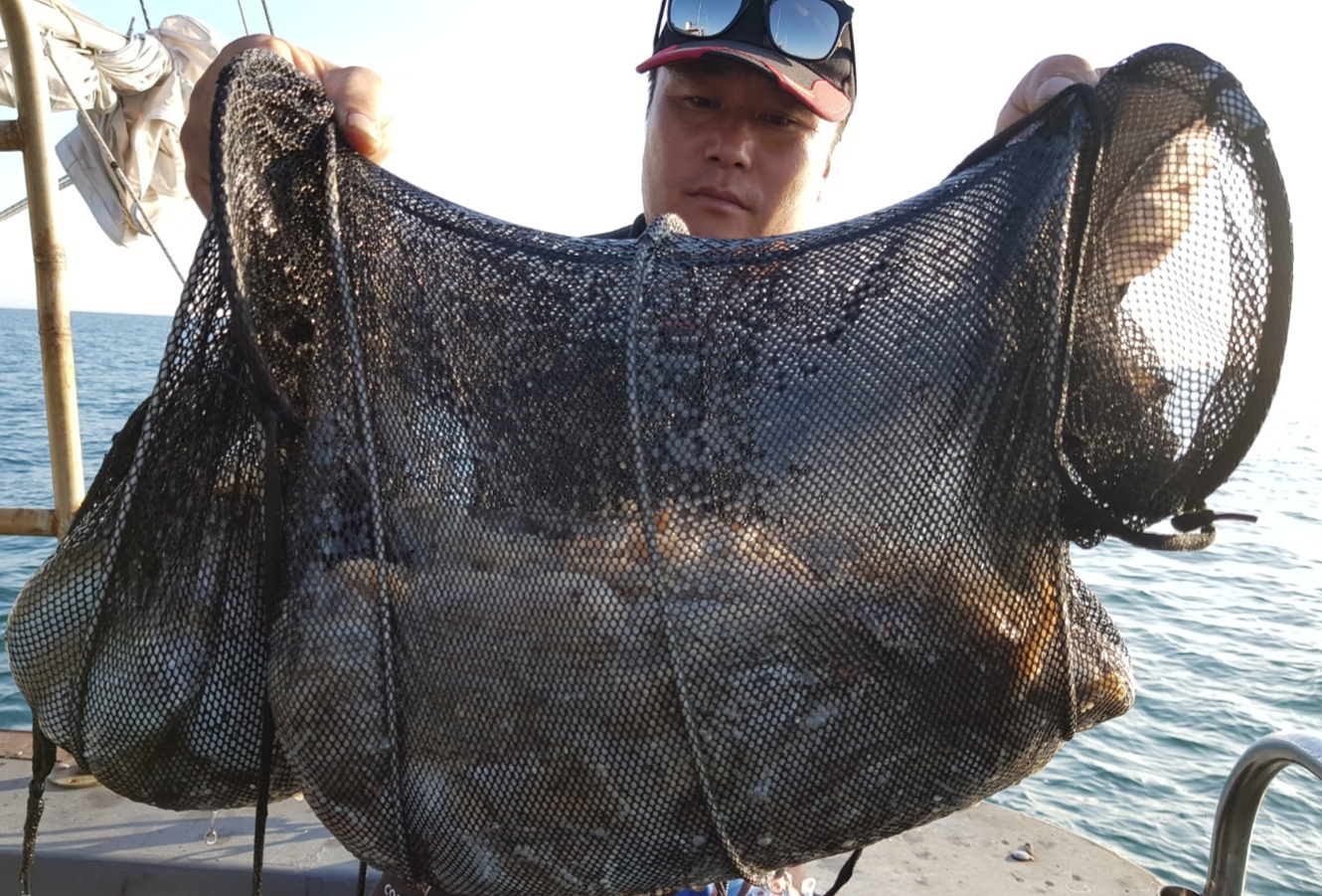 10월13일 용진호 주꾸미조황