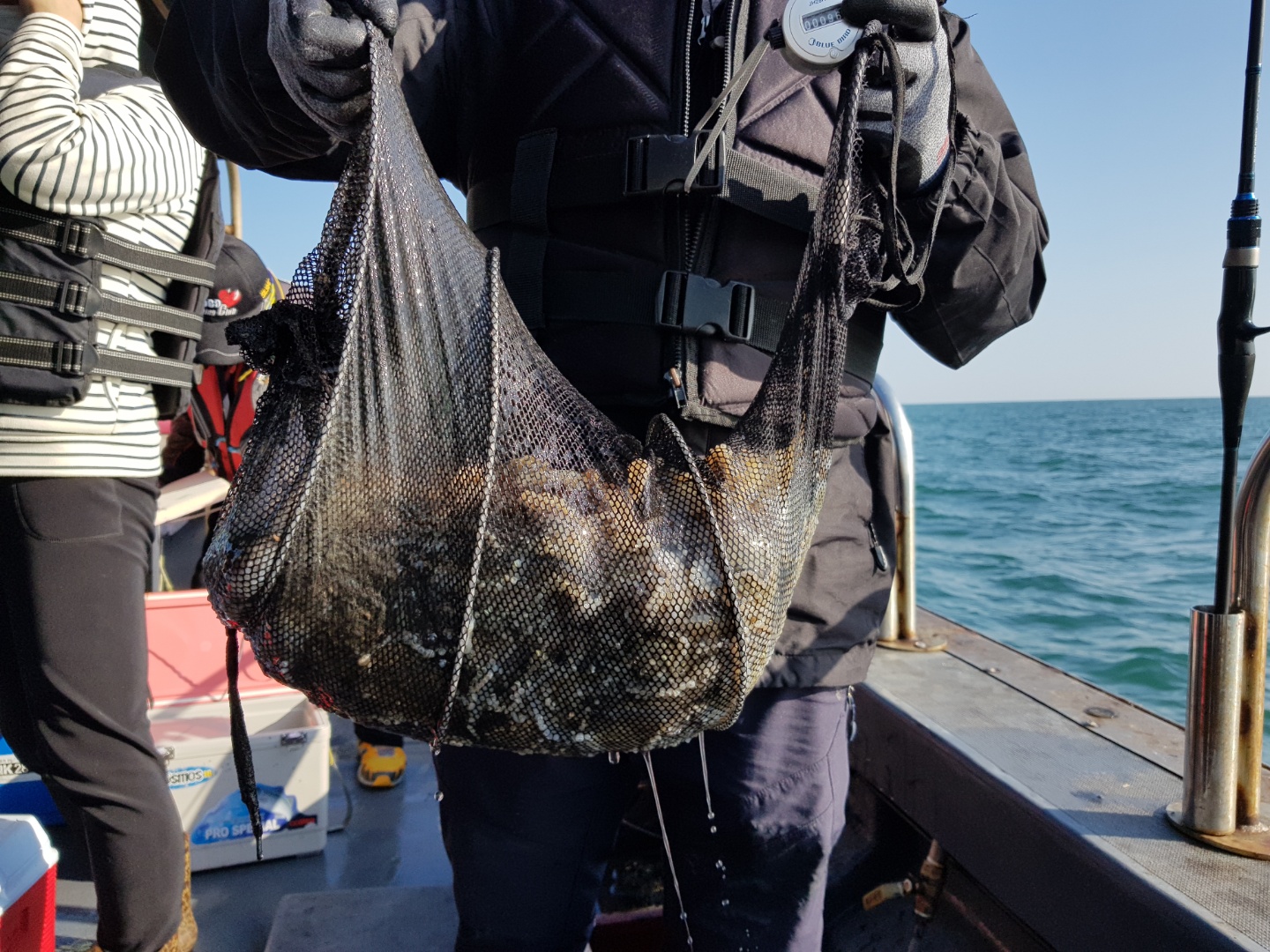 10월12일 용진호 주꾸미조황