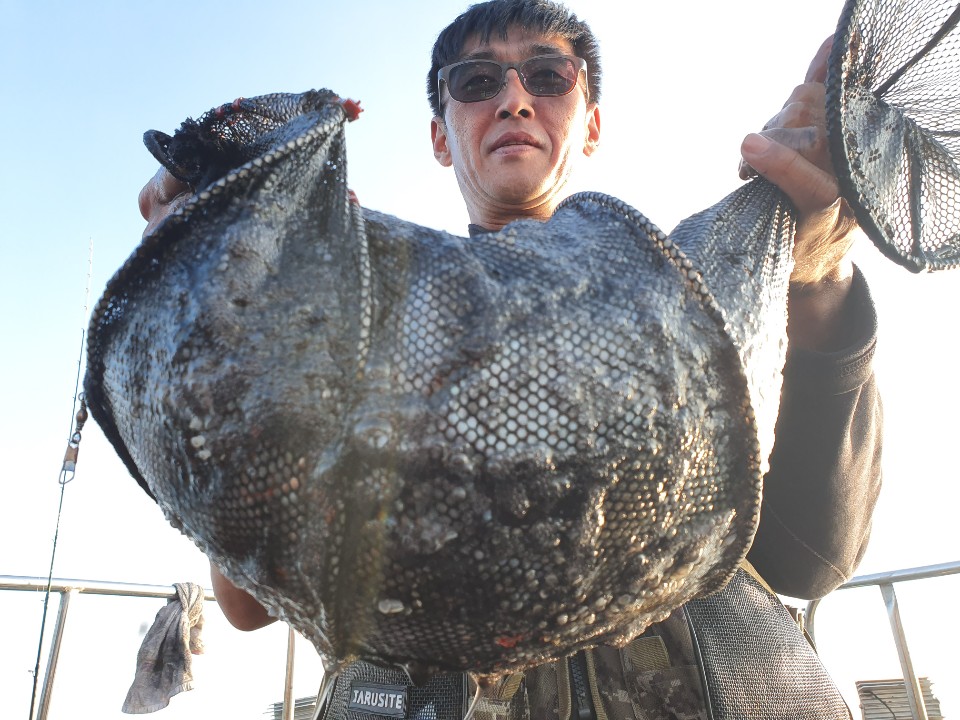 10월15일 뉴대성호 주꾸미조황