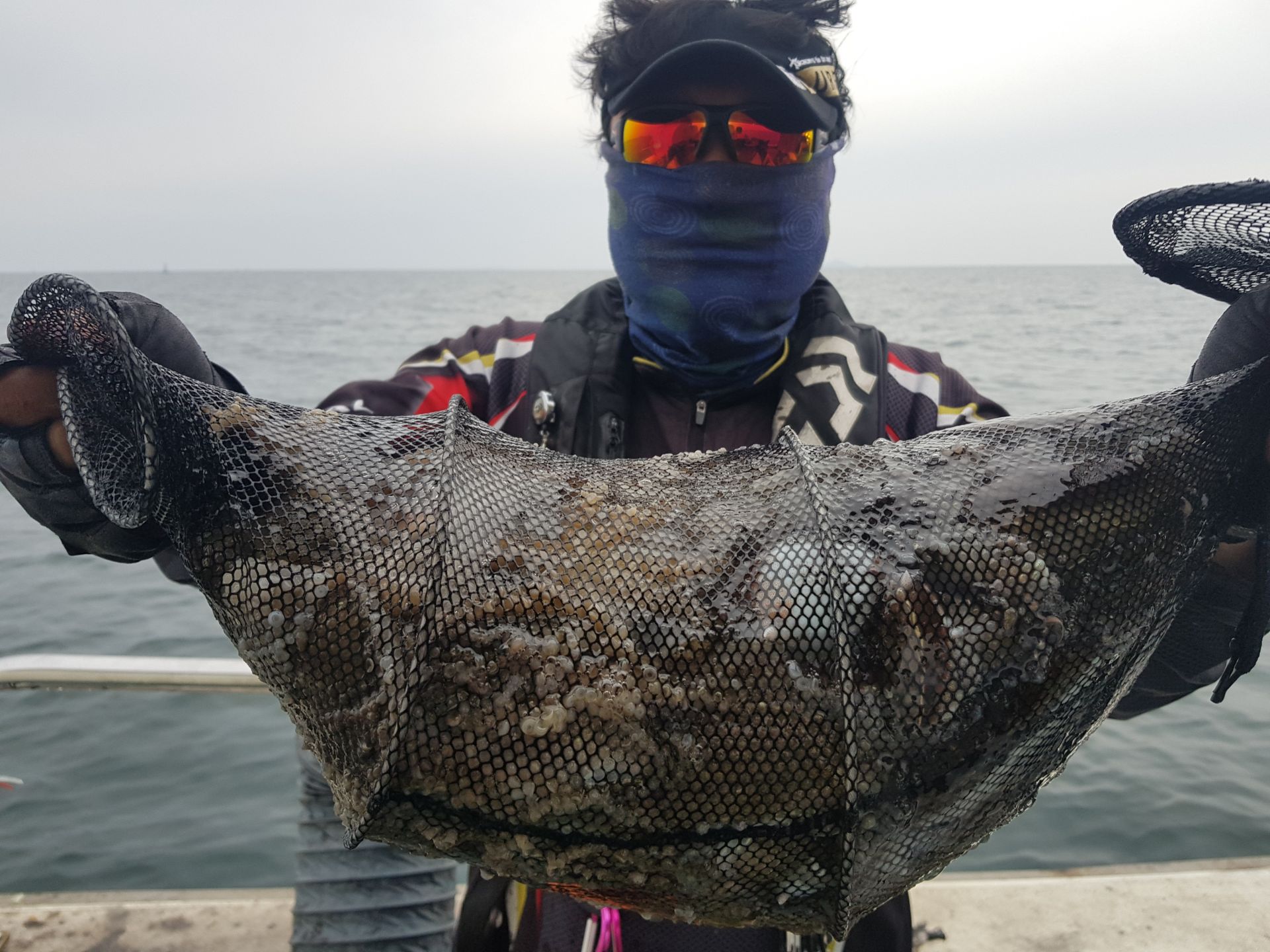 10월23일 뉴궁리호 주꾸미조황