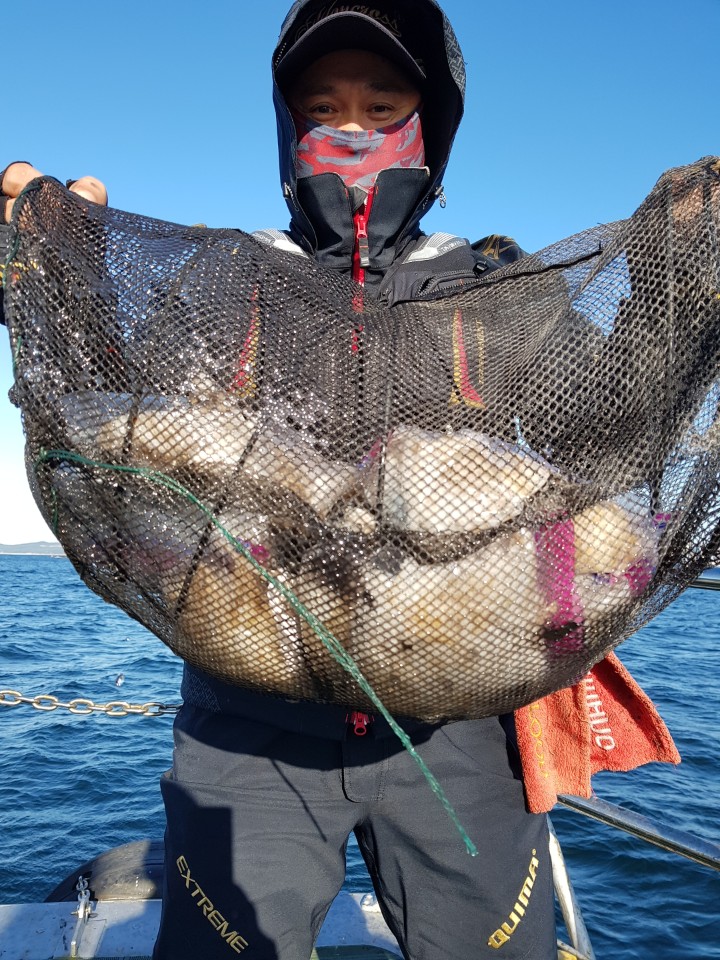 10월8일 대양호 쭈꾸미조황