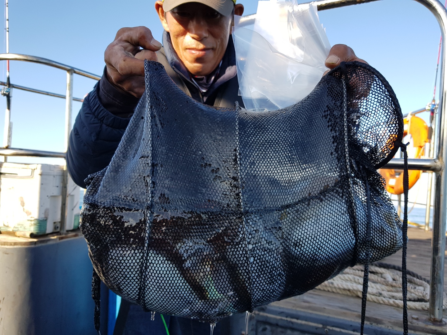 10월30일 용진호 갑오징어조황