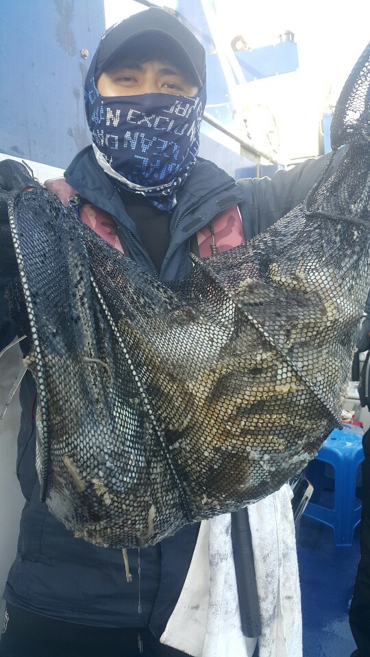 10월20일천성호주꾸미 조황